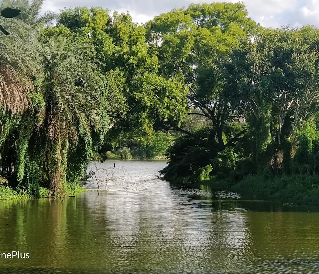 Yelahanka Puttenahalli Lake and Bird Conservation Trust 2