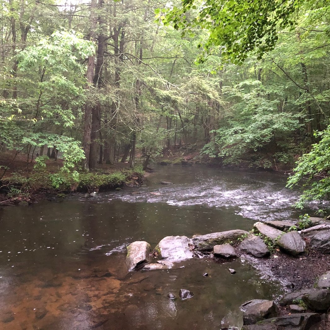 Mianus River Park 1
