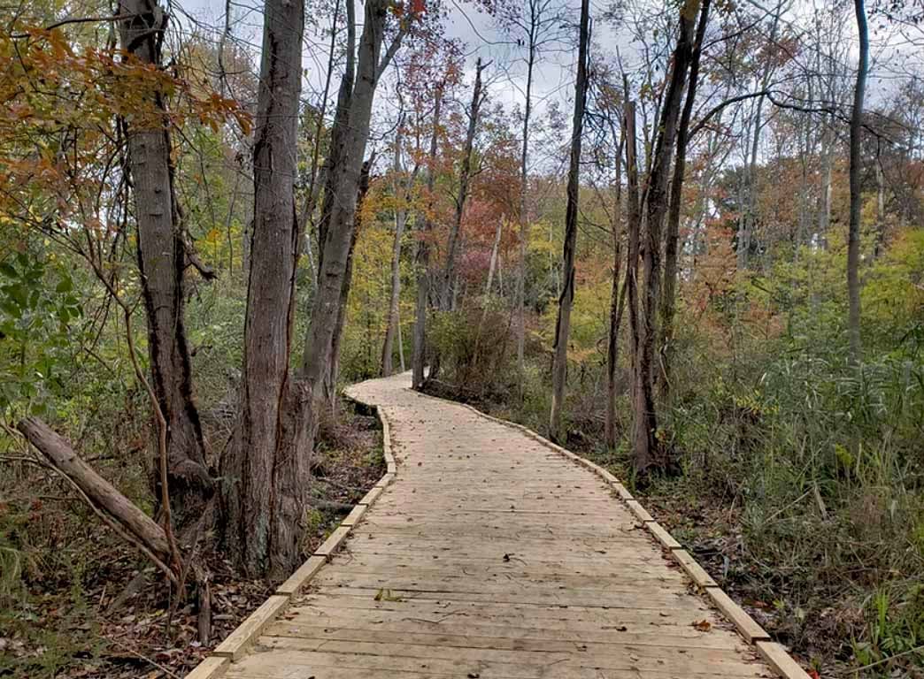 Mohansic Trailway 1