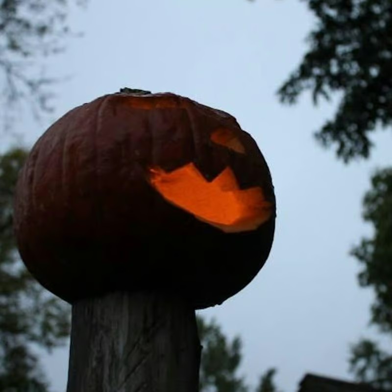 Lanterns in the Woods 1