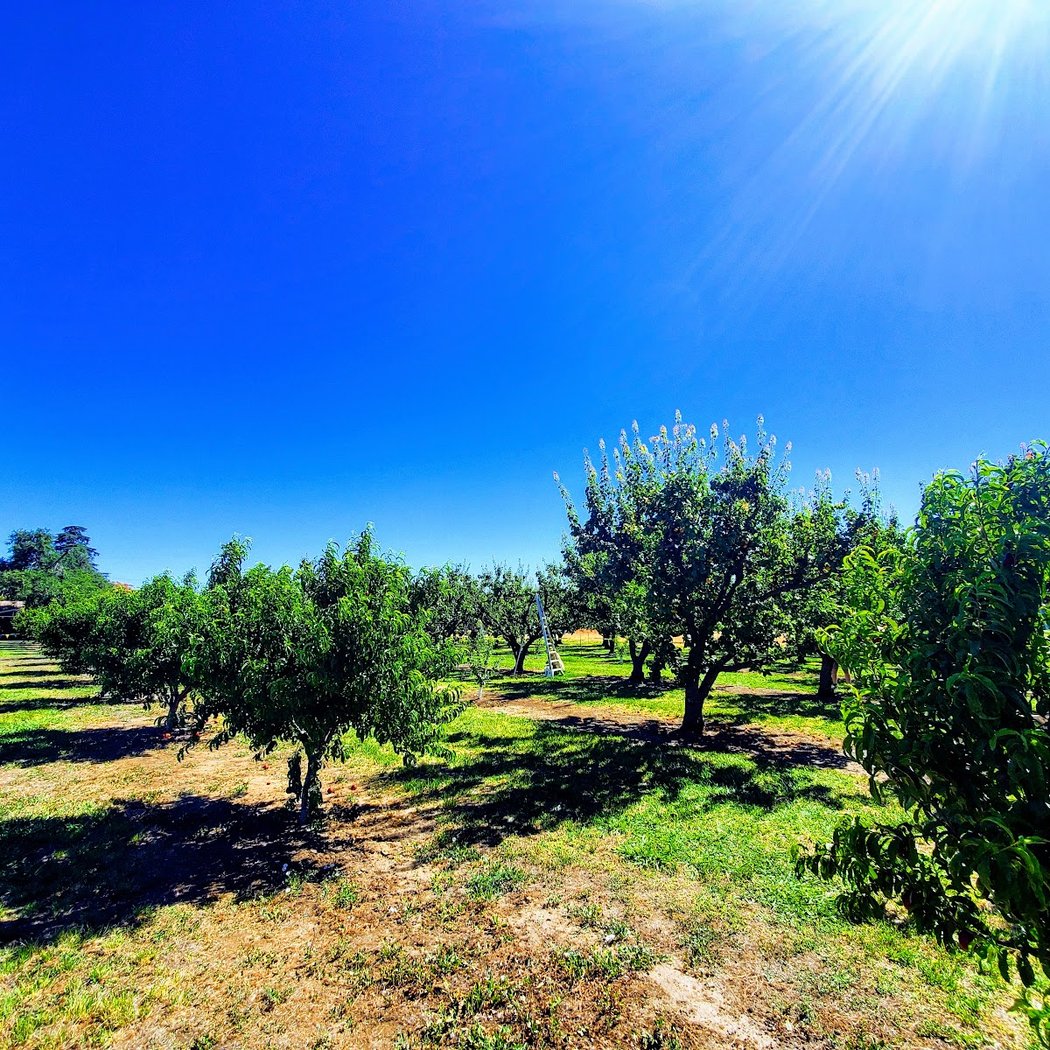 Pomeroy Farm Brentwood 3