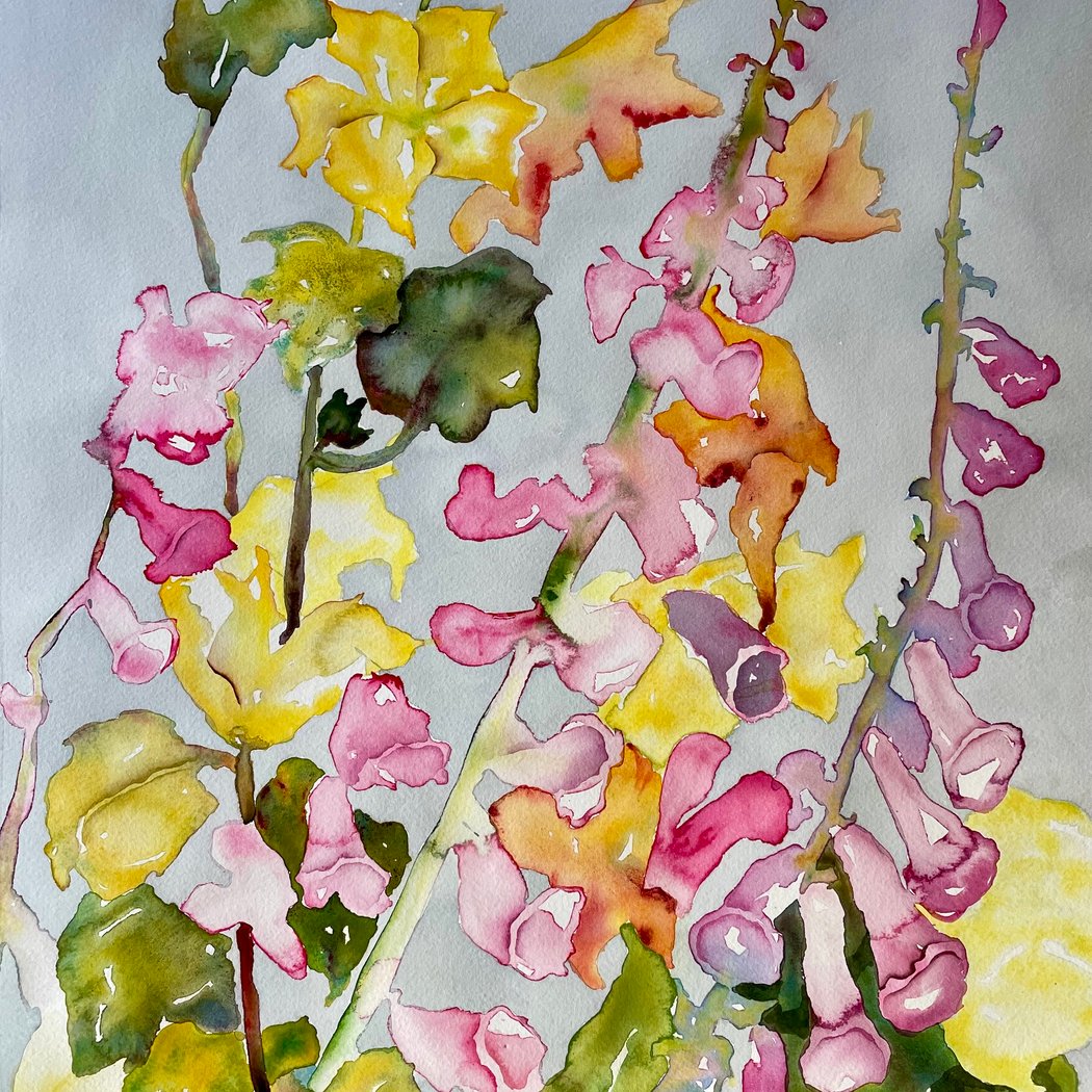 Valentine Flora Watercolors 1