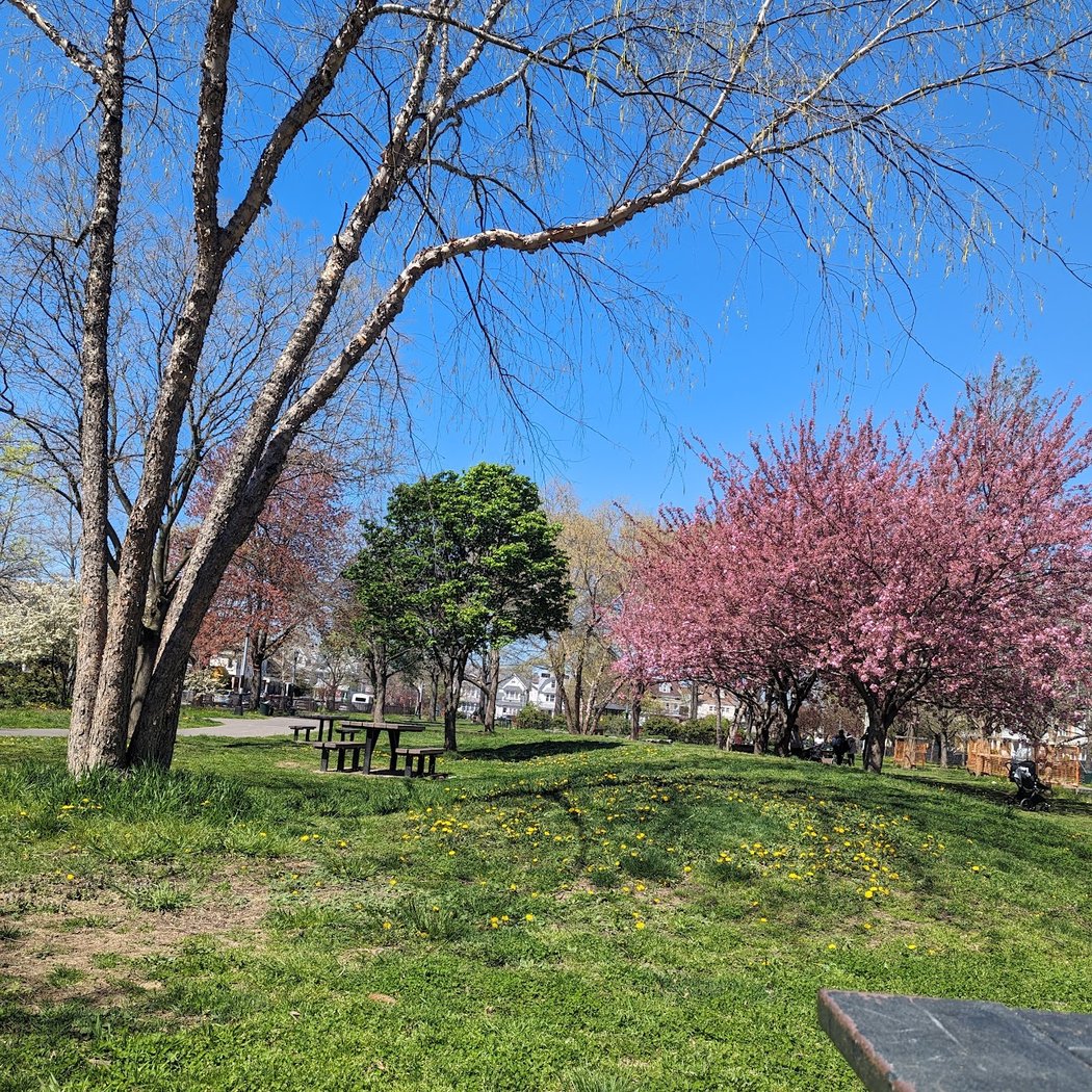 Amersfort Park 3