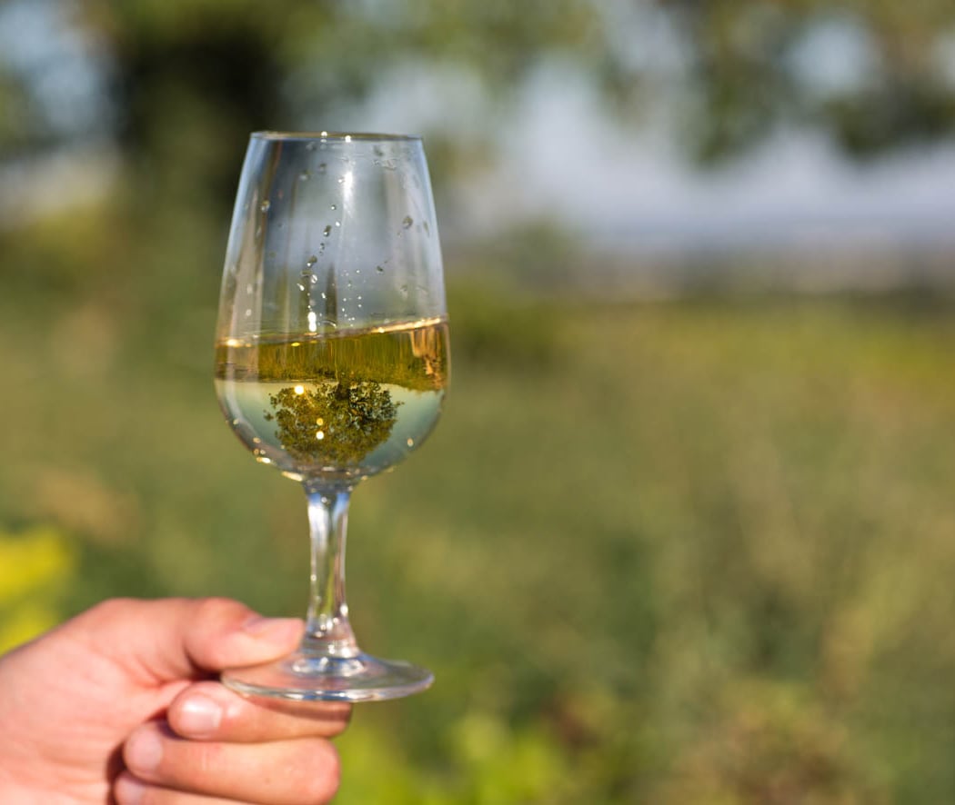 Les Grands Terroirs de Loire 1