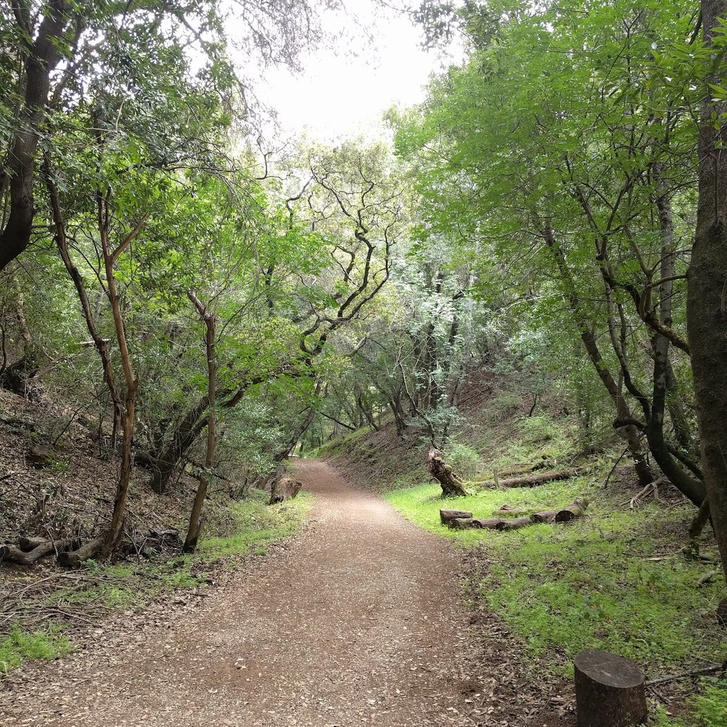 Rhus Ridge Trailhead 3