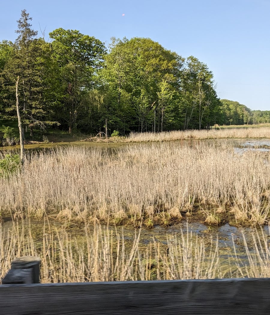 Mentor Marsh Guided Nature Hike: Wetland Wanderings 1