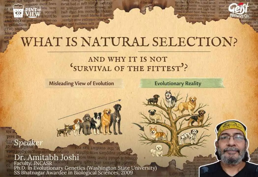 What Is Natural Selection? 1