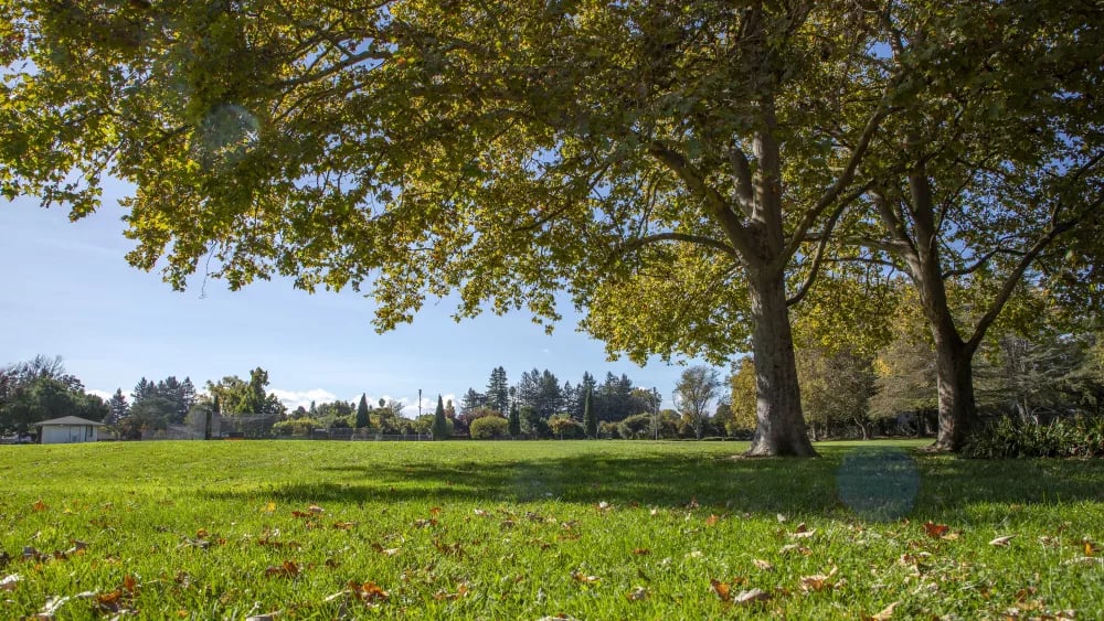 Colegio Vista Park 1