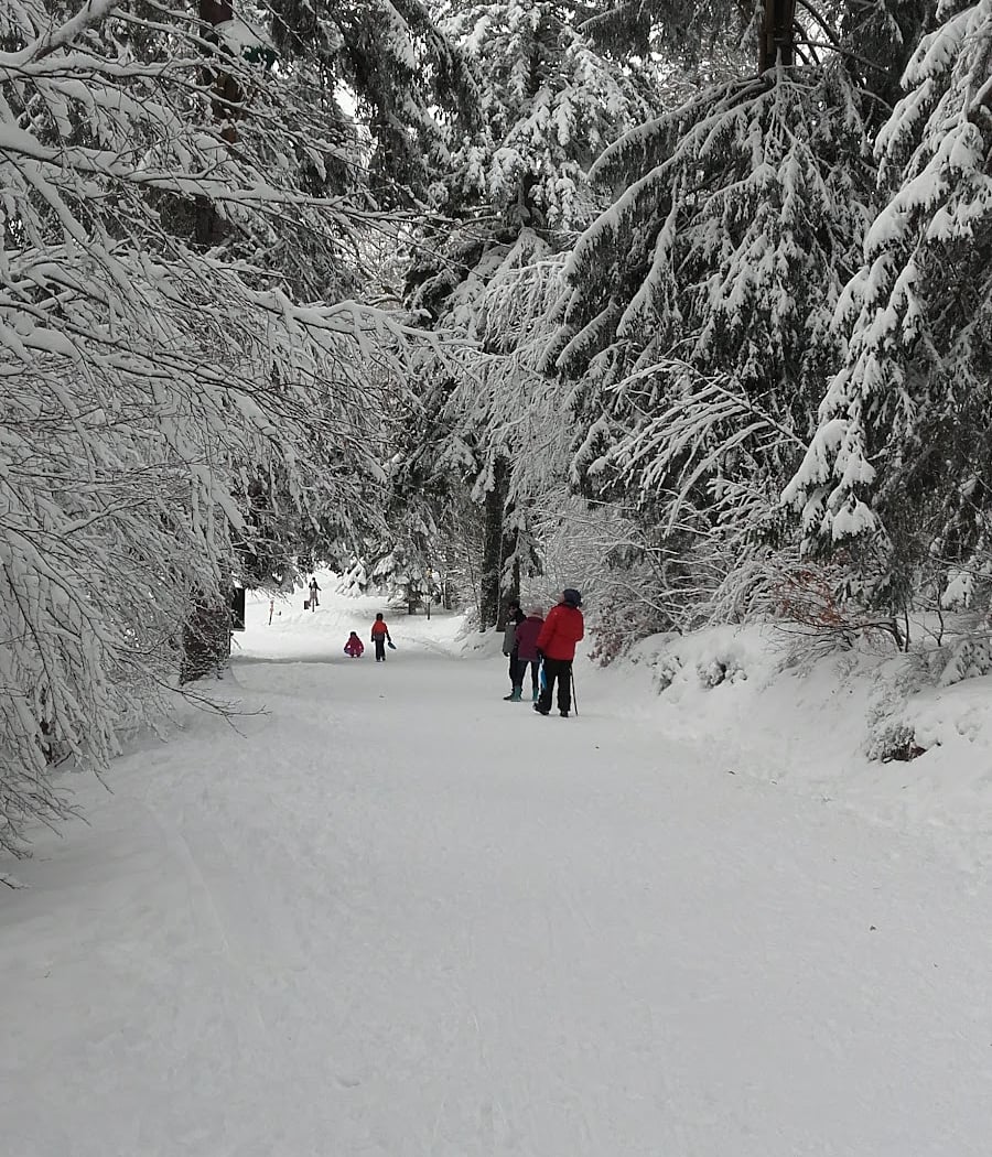 Mont Dore Aventures 1