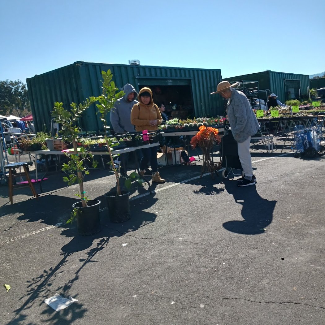 Flea Market Parking Lot 2
