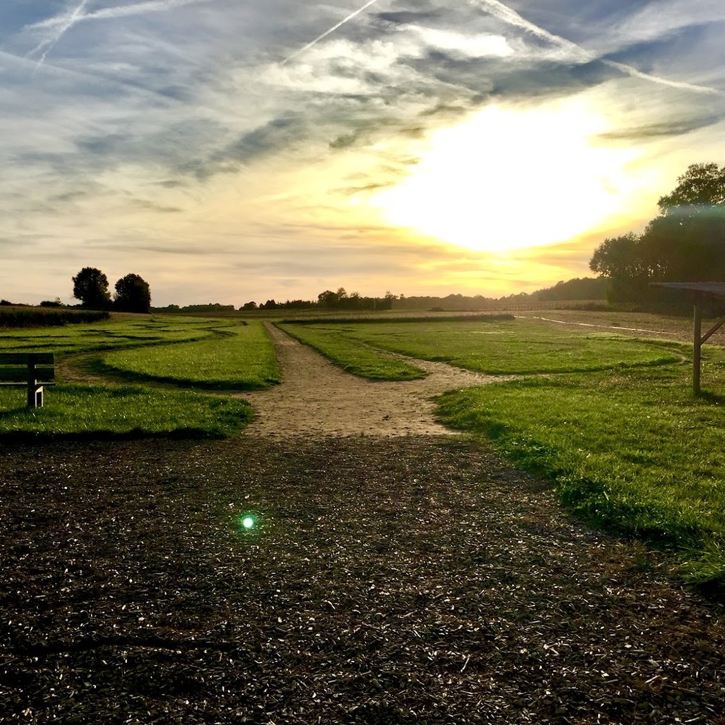 Romagna Vegetal Maze 2