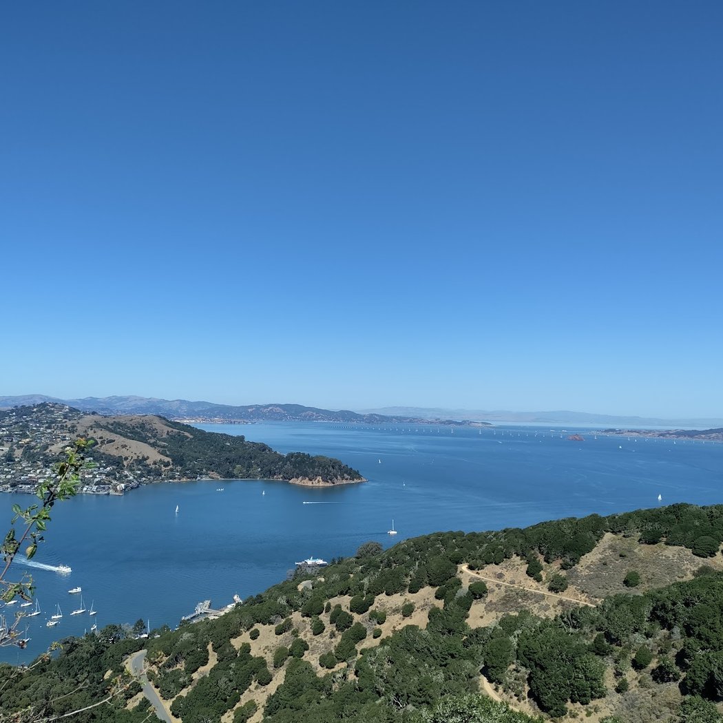Mt. Livermore 2