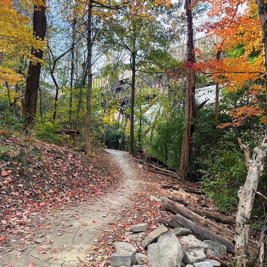 Devou Park 3