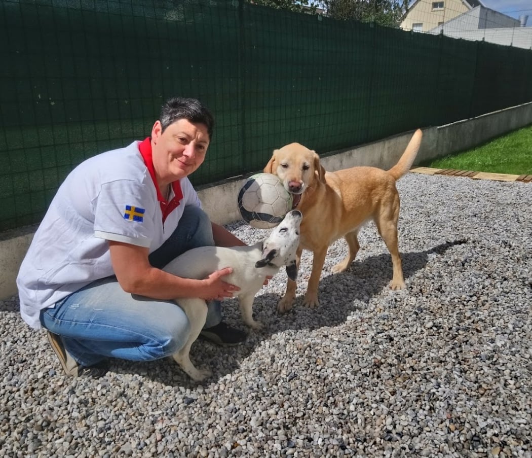 Hôtellerie Kaline - Pension Familiale pour Chats et Chiens ; Visites à domicile pour Chats 3