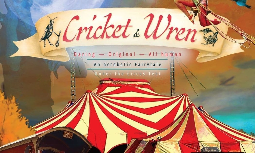 The Cricket & the Wren 2