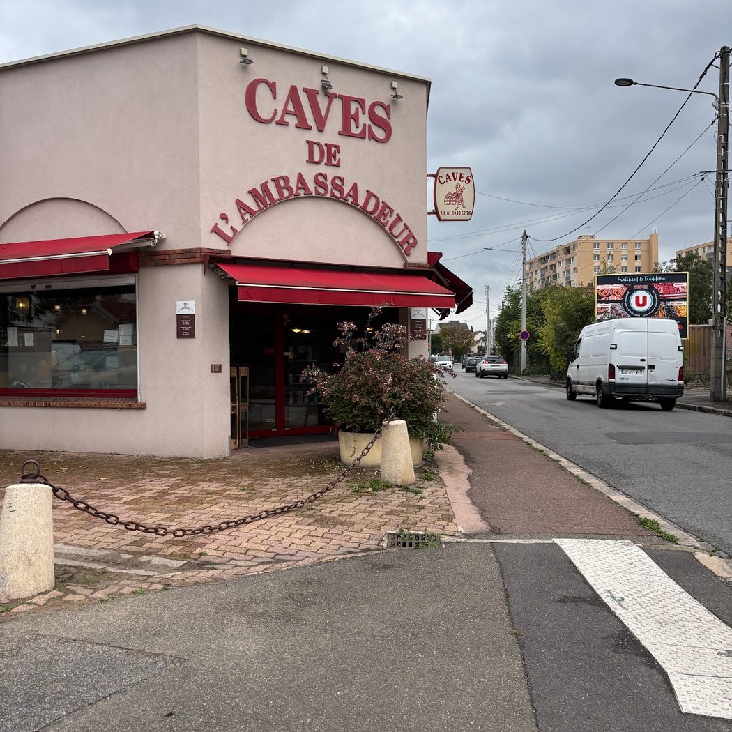 The Caves of the Ambassador 2