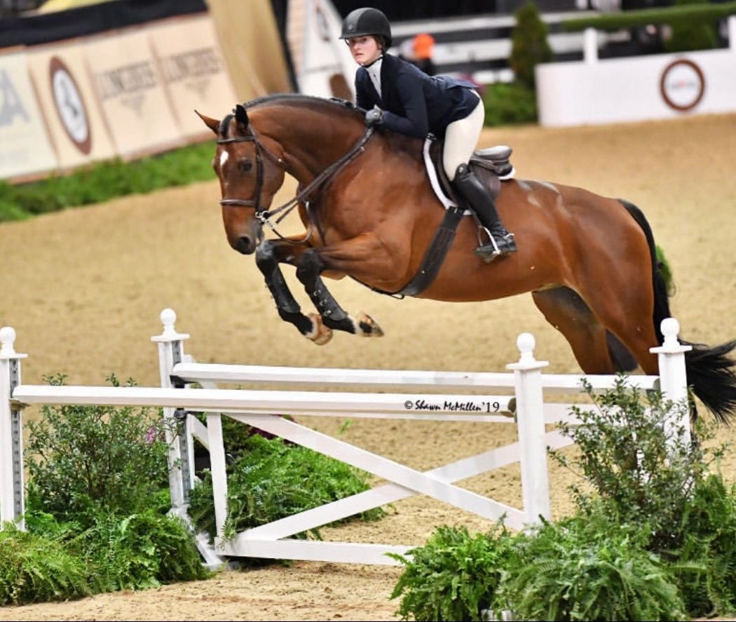 Aureliano Equestrian 1