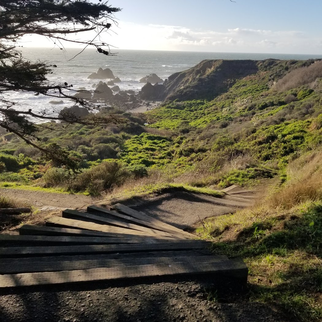 Shell Beach 1