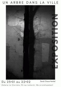 Un arbre dans la ville : Sarah Grace Henkel 1