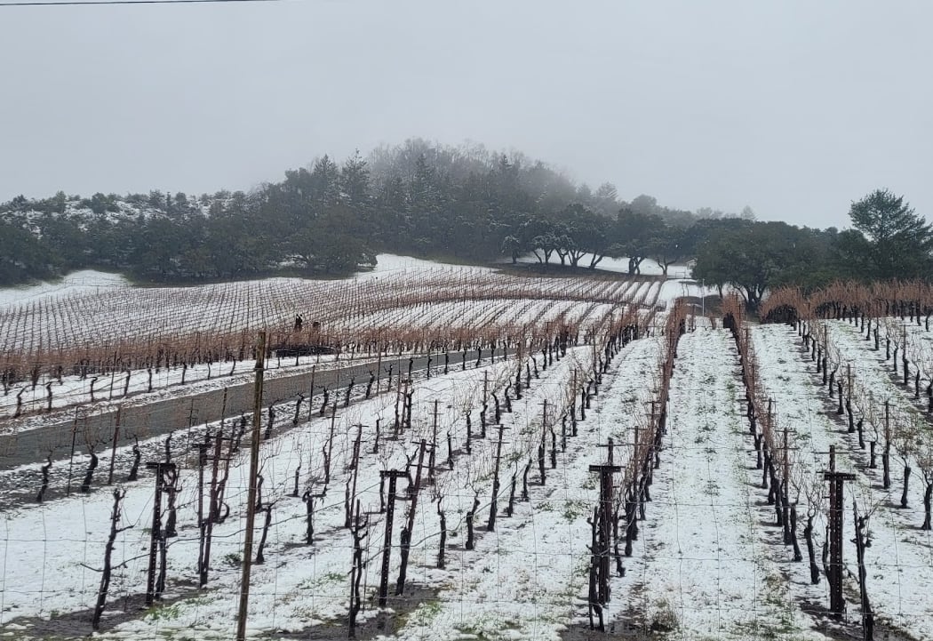 Cloverdale 1