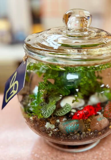 Closed Tropical Terrarium Workshop 2
