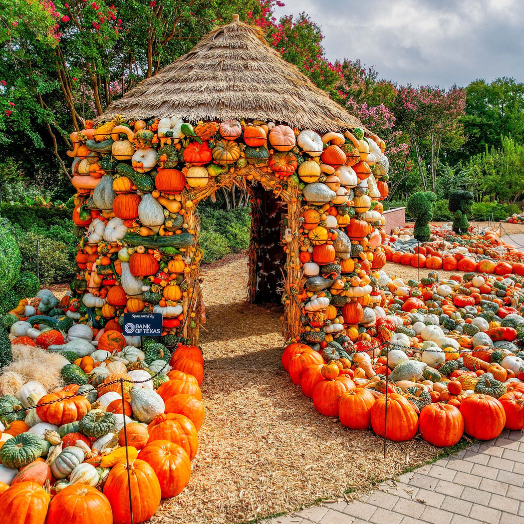 Autumn at the Arboretum: Harvest Hues 1