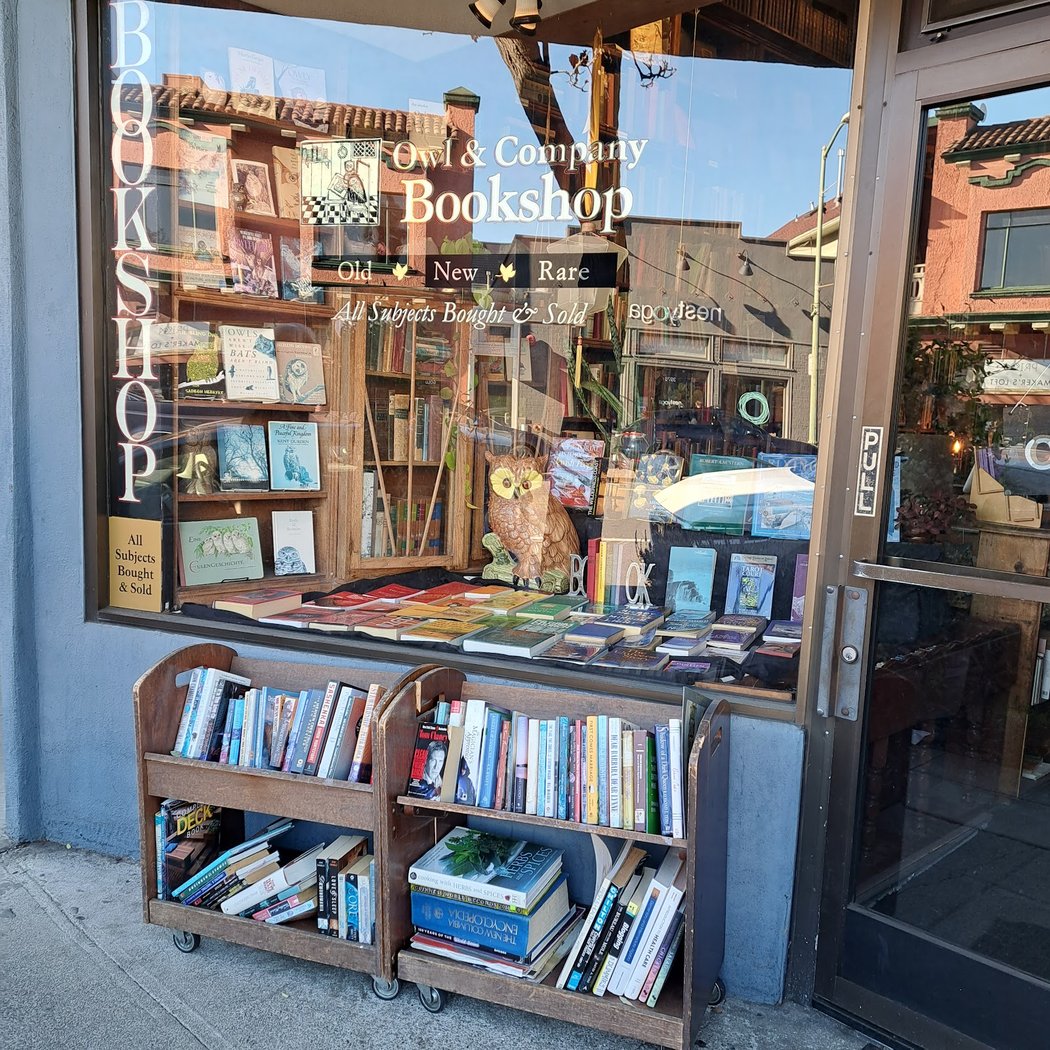 Owl & Company Bookshop 2