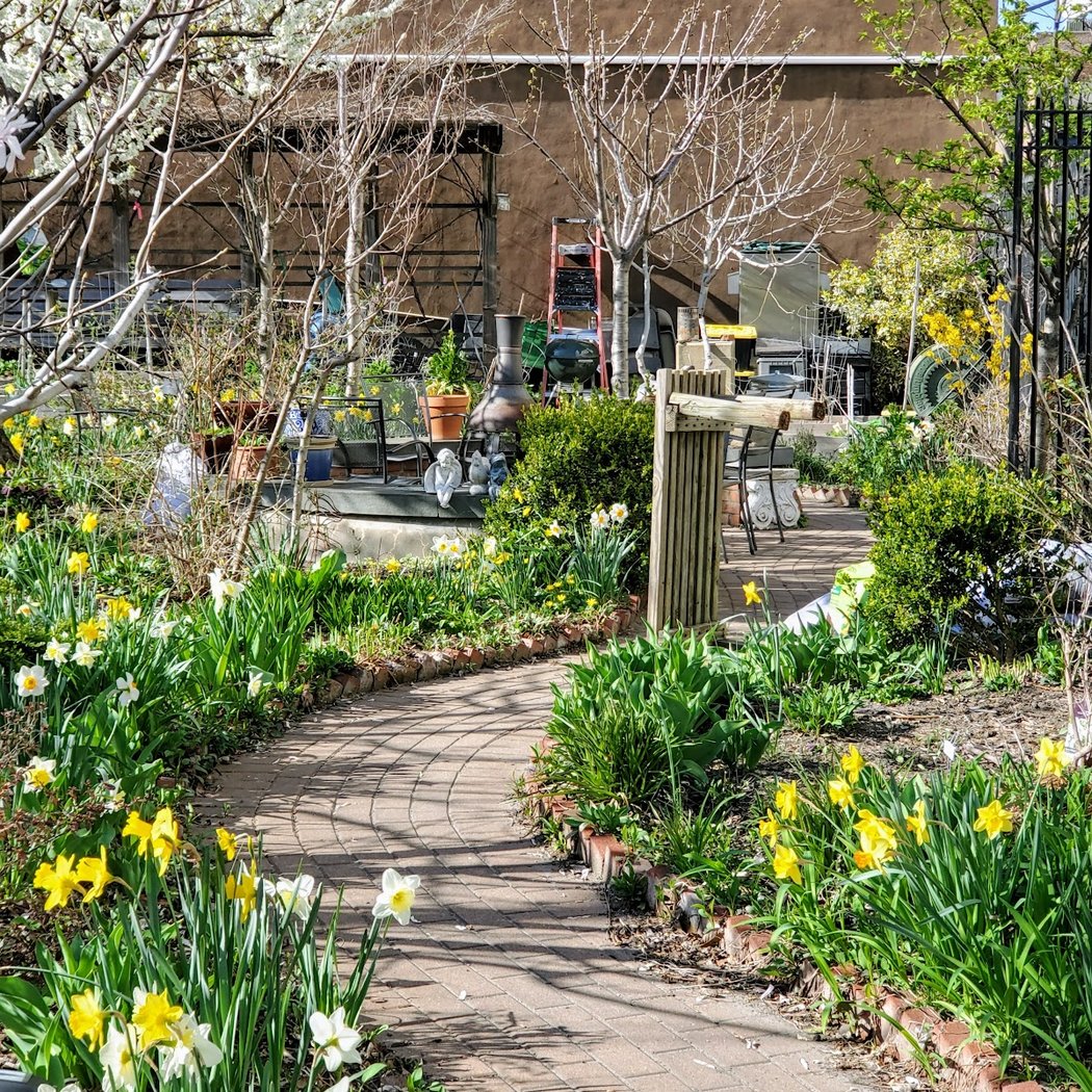 Brooklyn Bears/Rockwell Place Garden 1