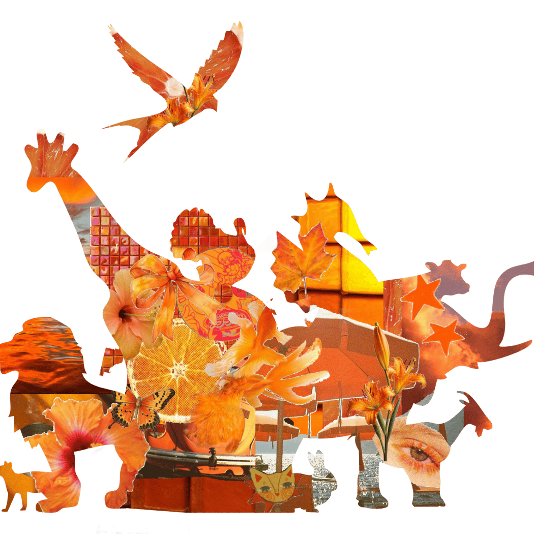 Drôle de Bestiaire 1
