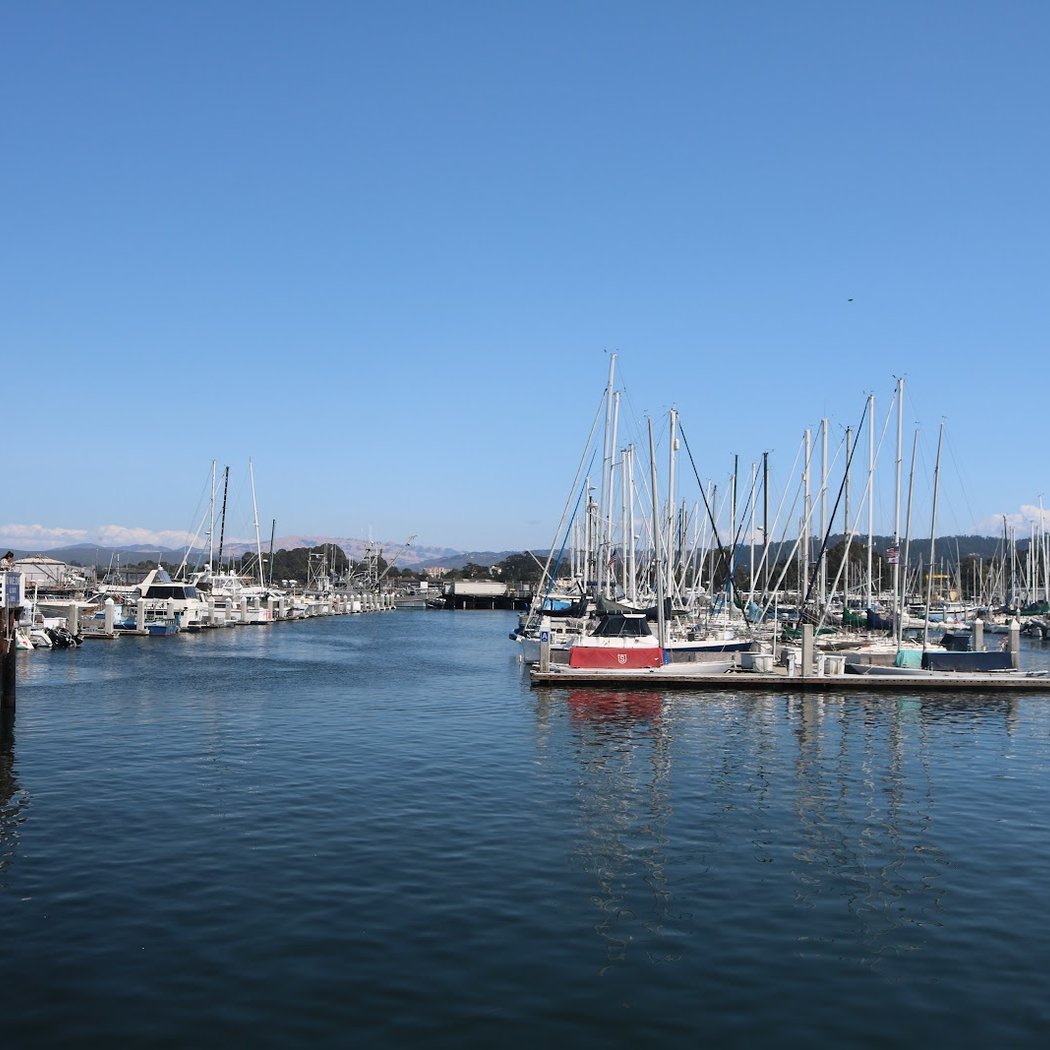 Whalefest 3