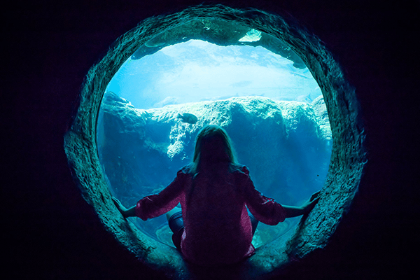 Flint RiverQuarium 1