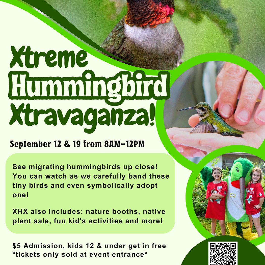 Xtreme Hummingbird Xtravaganza 1