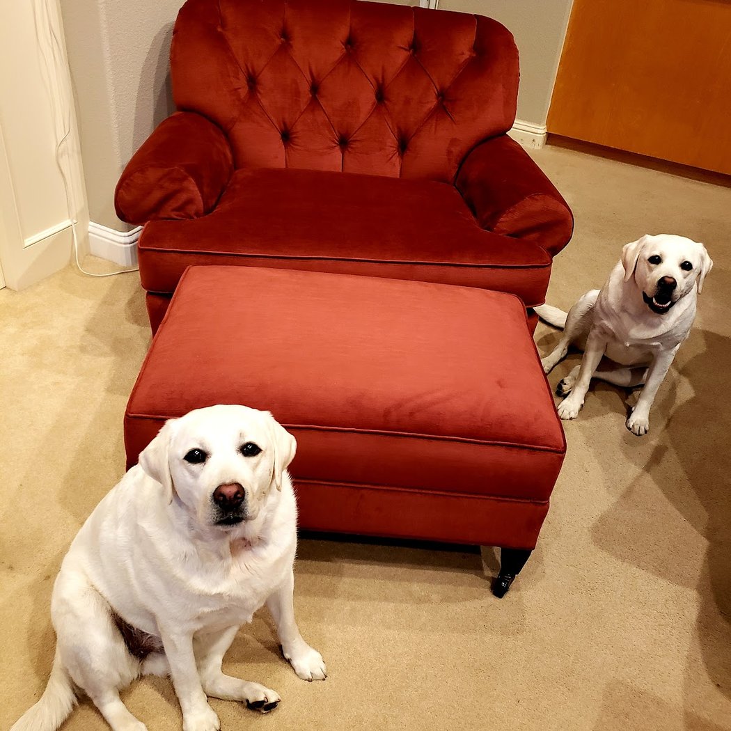 Upholstery Shop 2