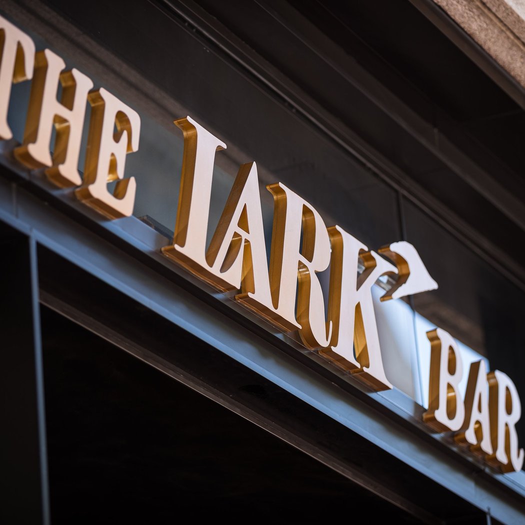 The Lark 2