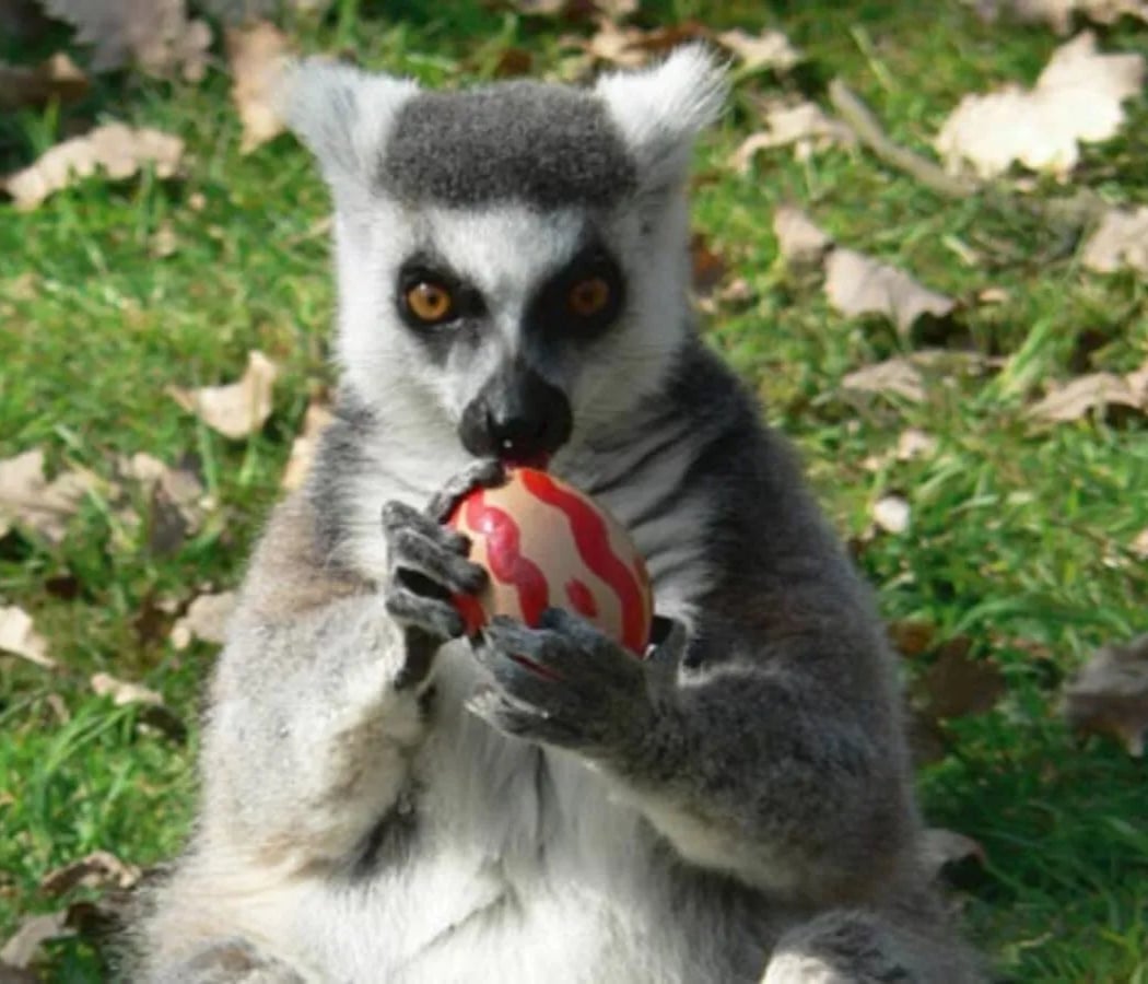 Chasse aux œufs de Pâques 1