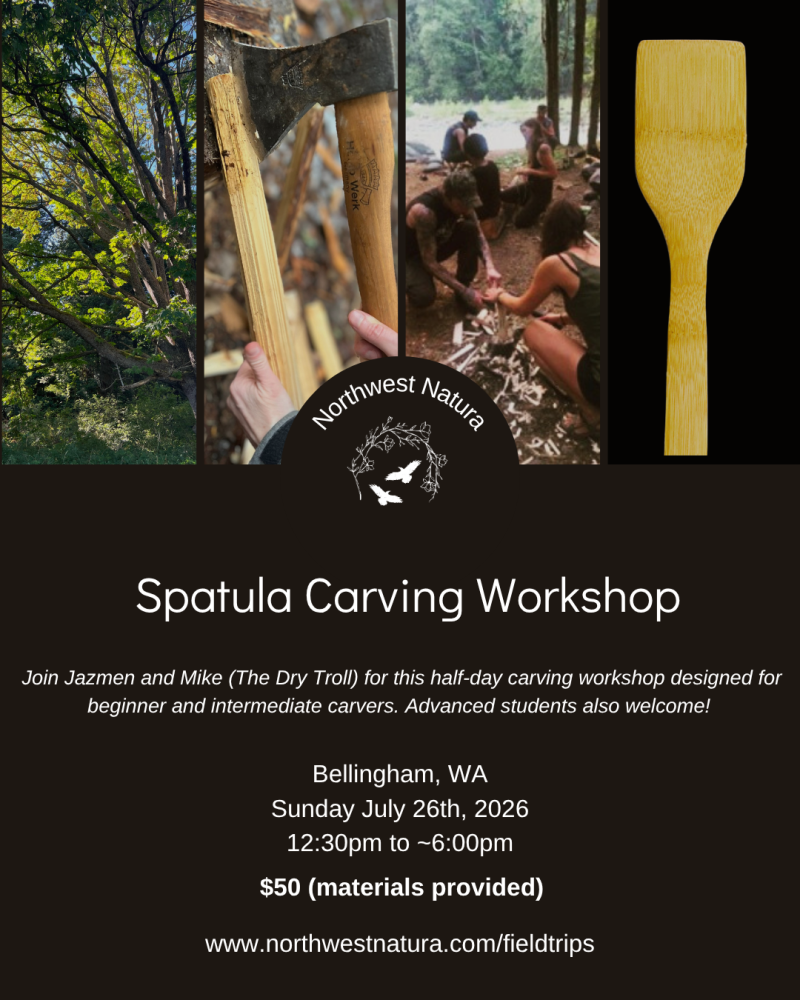 Spatula Carving Workshop 1