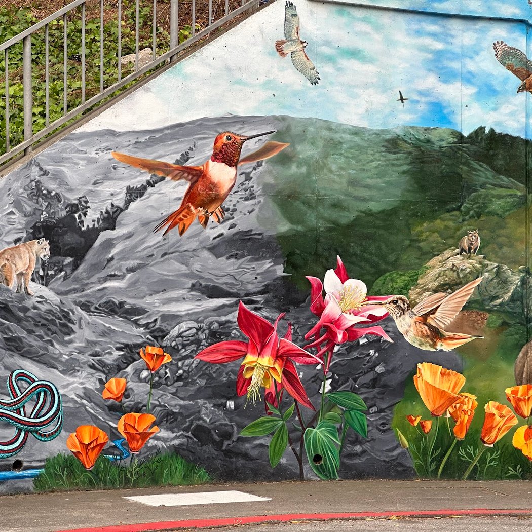 Burnside Mural and Steps 1