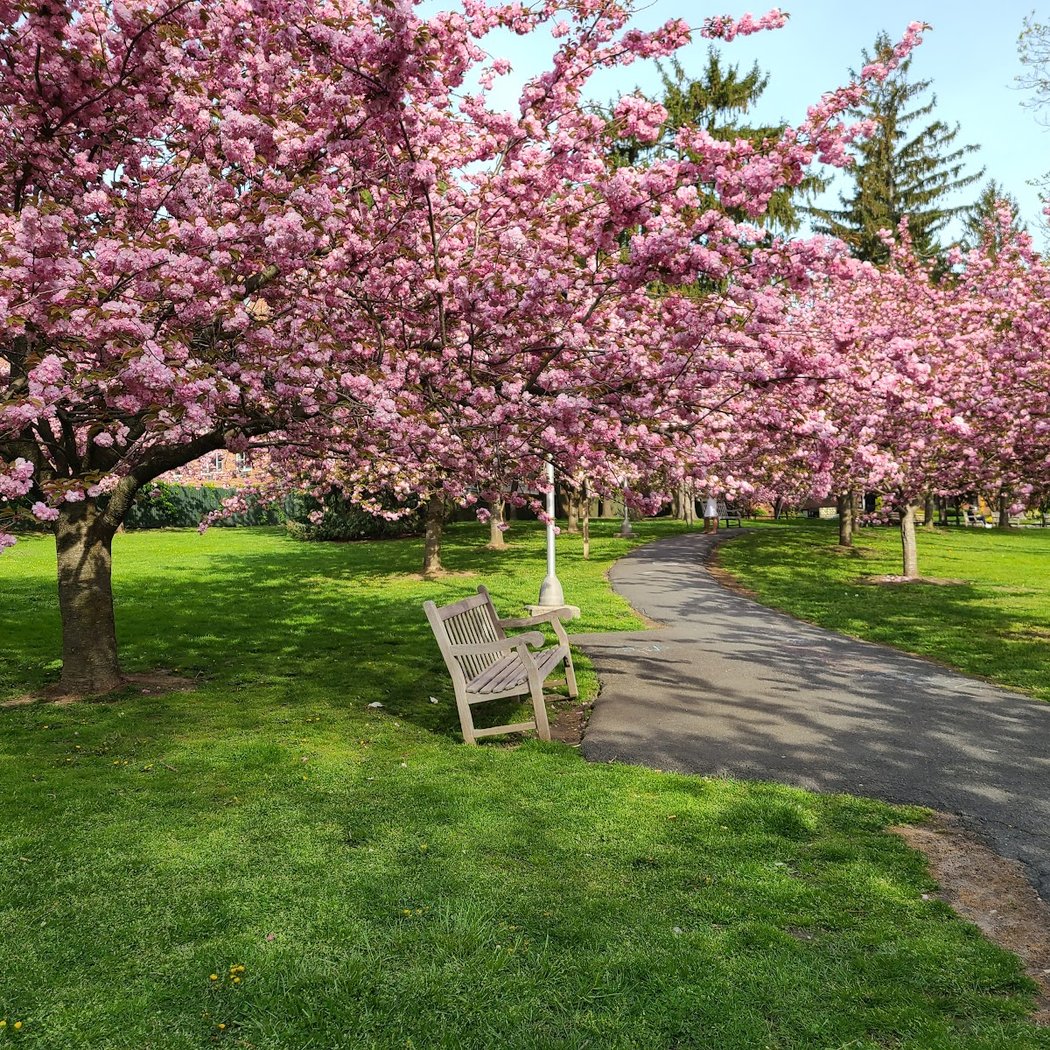 J Harvey Turnure Memorial Park 1