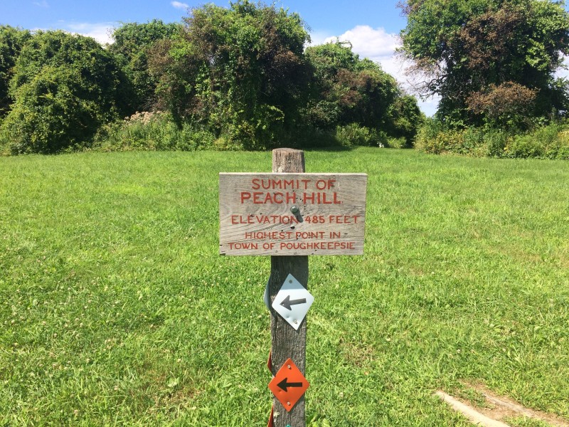 Peach Hill Park 2