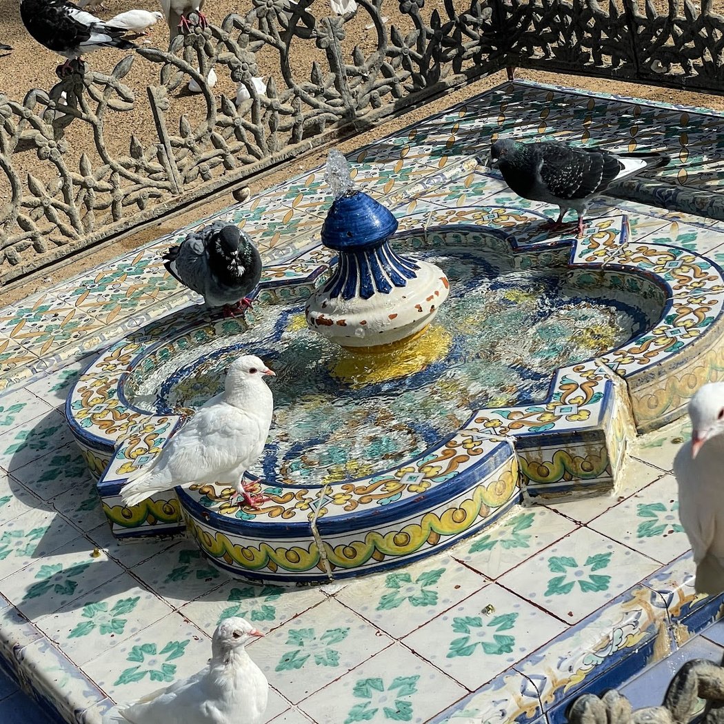 Parque de las Palomas 2