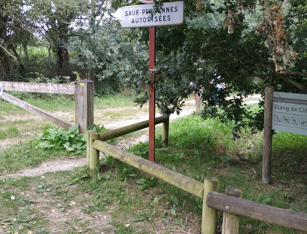 Découvrez les hivernants du lac de Clégreuc 4
