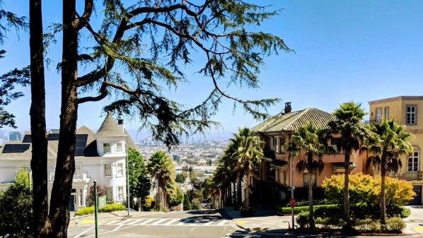 Buena Vista Park 2