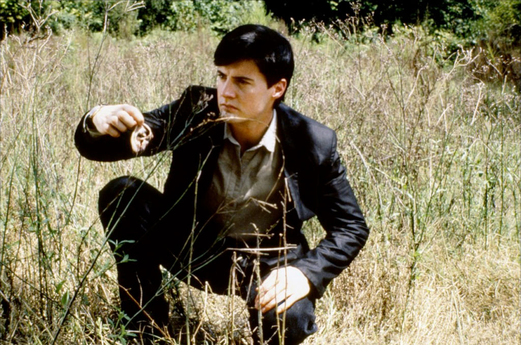 Blue Velvet 2