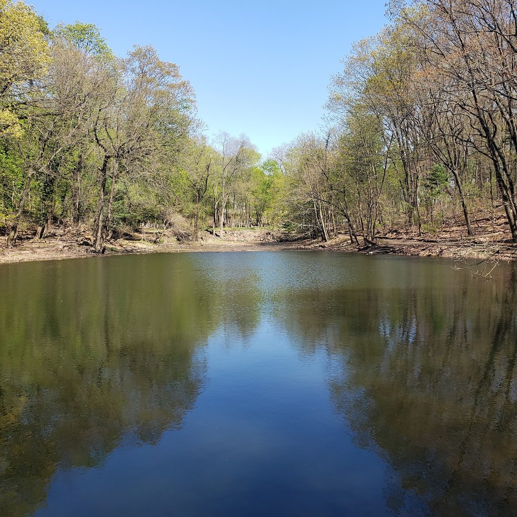 Jones Woods Park 1