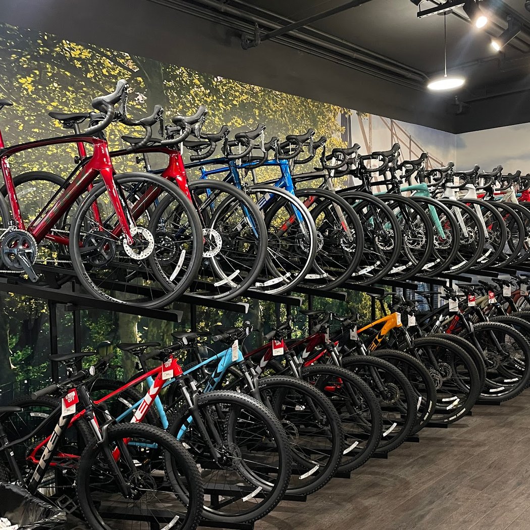 Trek Bicycle Forest Hills 1