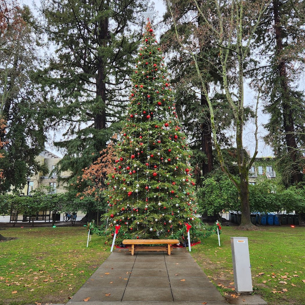 Healdsburg Holiday Sip & Shop 2