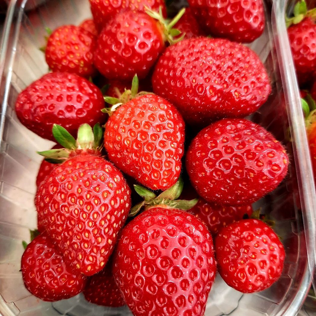 LE POTAGER DE LILI 1