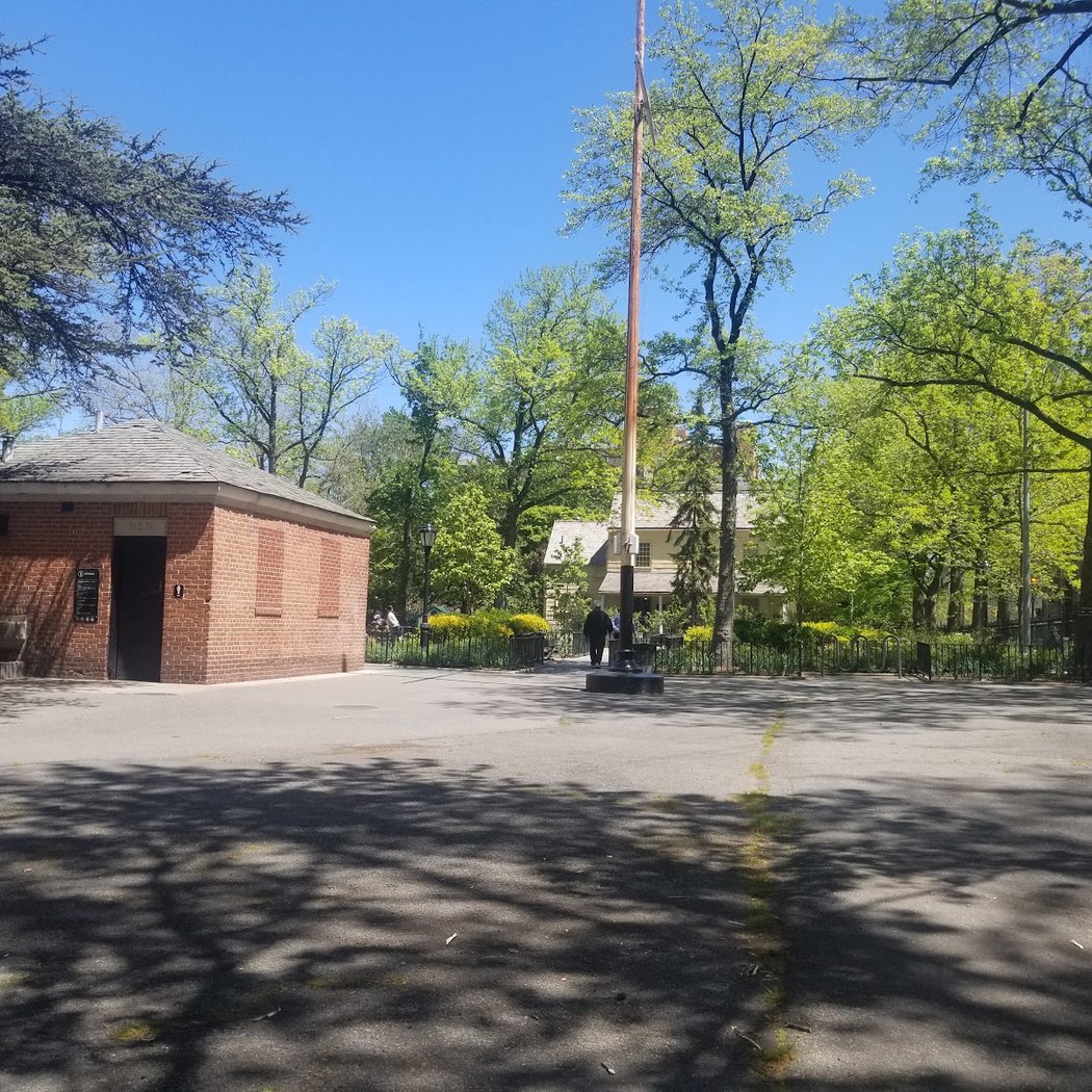 Weeping Beech Park 2