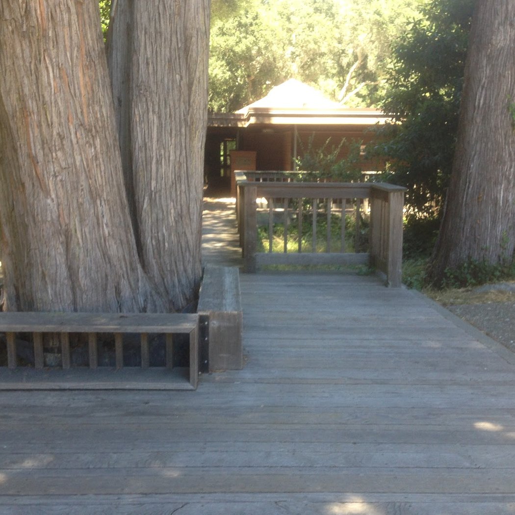 Sequoia Lodge 2