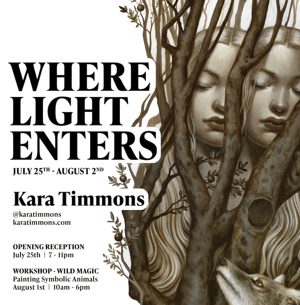 Kara Timmons: Where Light Enters 1